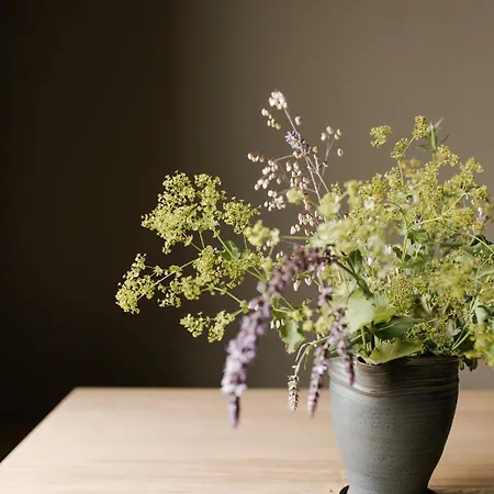 Dievier Musikhaus Dasdritte * Wieck